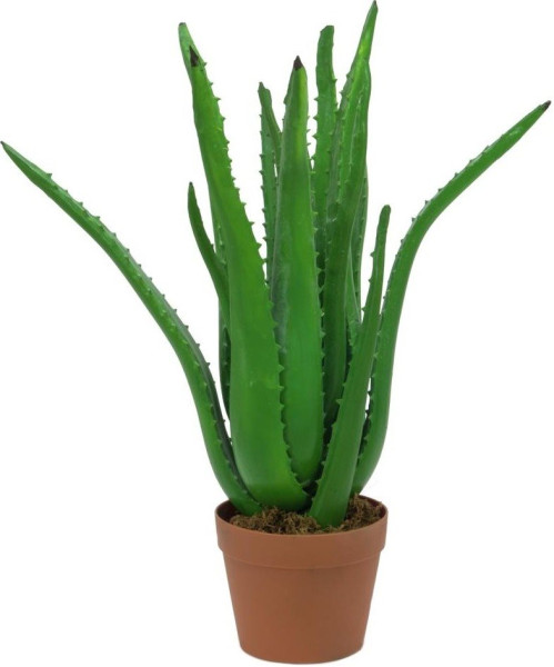 Europalms Aloe-Vera-Pflanze, Kunstpflanze, 63cm