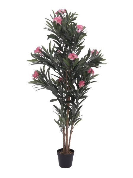 EUROPALMS Oleanderbaum, rosa, 150 cm