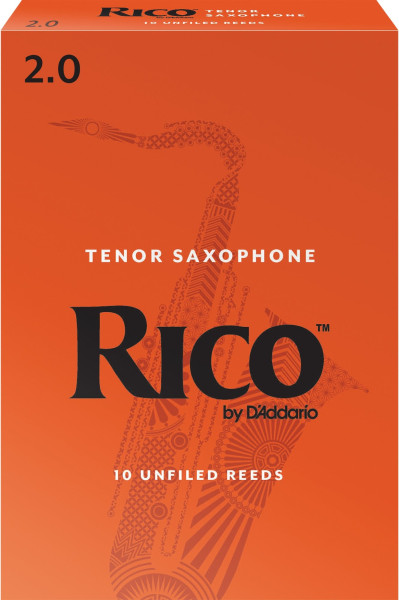 D´Addario Rico Tenor-Saxophon 2
