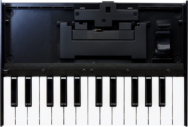Roland K-25M Keyboard Unit